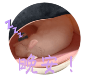 773627254