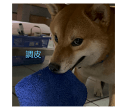 773634898