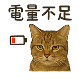 773635160