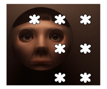 773636365