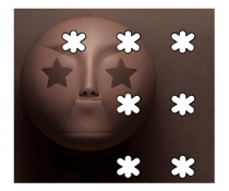 773636567