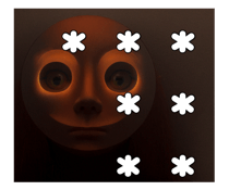 773636576