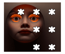 773636578