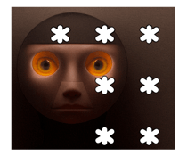 773636579
