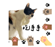 773637645