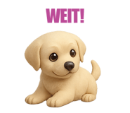 773644106