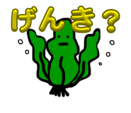 773645564