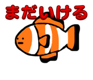 773645566