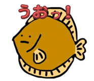 773645567