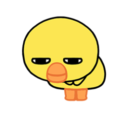 773648068