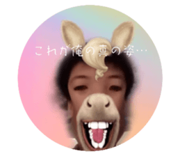 773648226