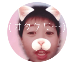 773648231