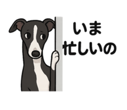 773652339