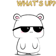 773652648