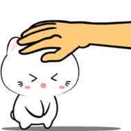 773655090