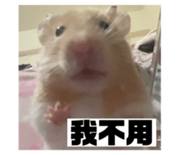 773657370