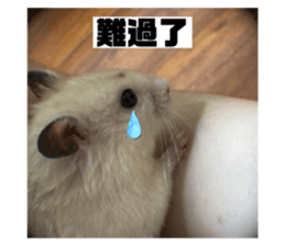 773657386