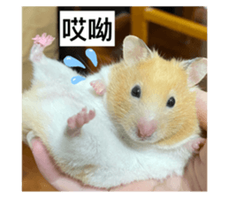 773657389