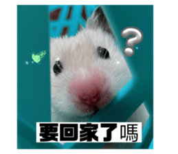 773657390