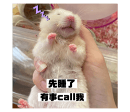 773657391