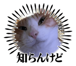 773661742