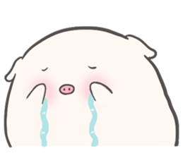 ลายที่ 17