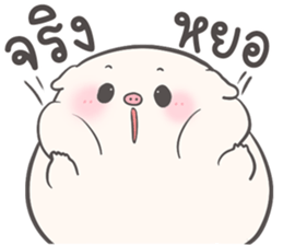 ลายที่ 21