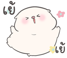 ลายที่ 23