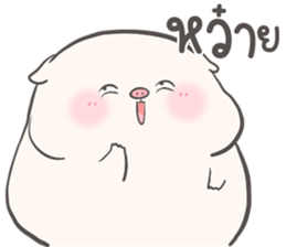 ลายที่ 49