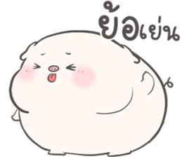 ลายที่ 57