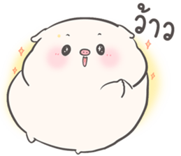 ลายที่ 71