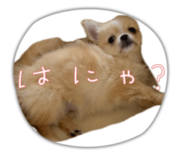 773667542