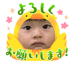 773667781