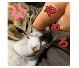 773669885