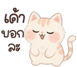 773670621