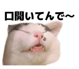 773670847