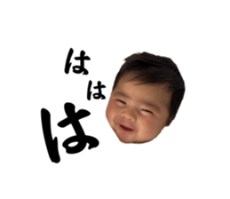 773671779