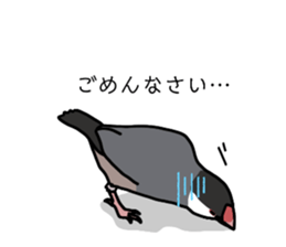 773672617