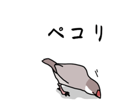 773672618