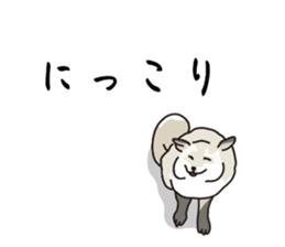 773672622