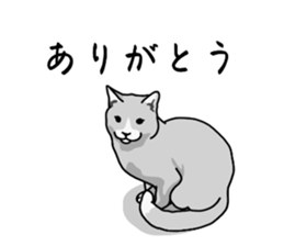 773672623