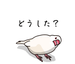 773672627