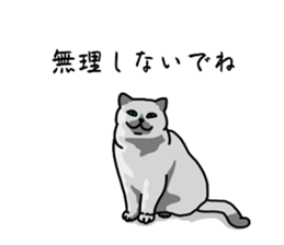 773672630