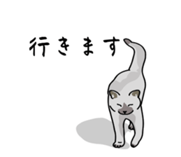 773672631