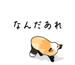 773672634