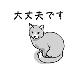 773672636
