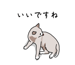 773672641