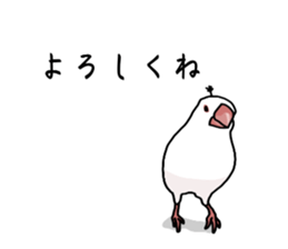 773672647