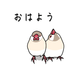 773672651