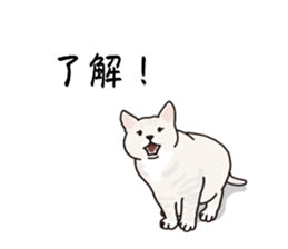 773672652